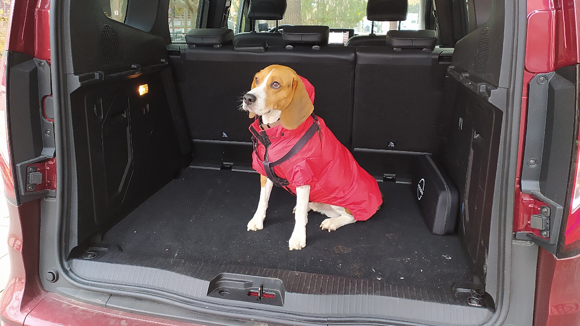 Los mejores coches para viajar con perros que hemos probado